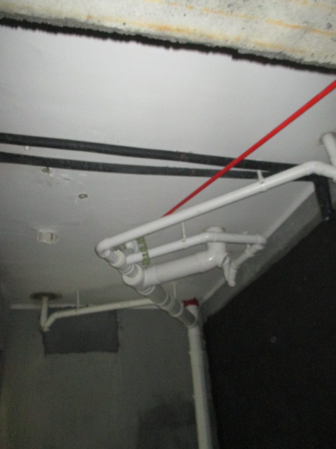 IMG_8978.JPG