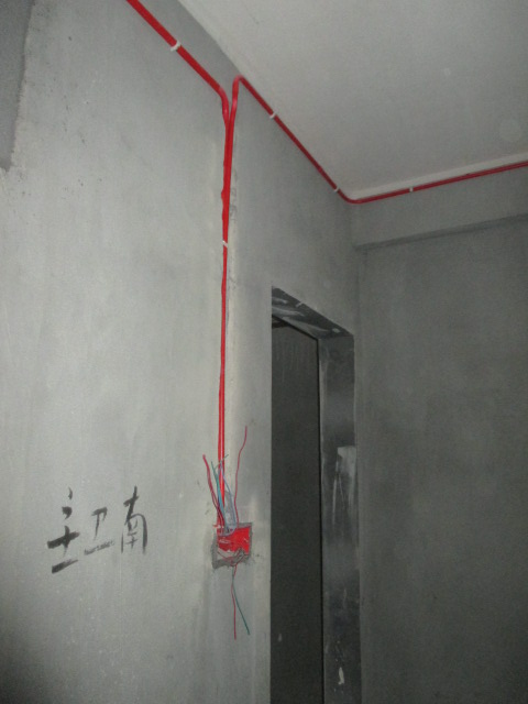 IMG_8779.JPG