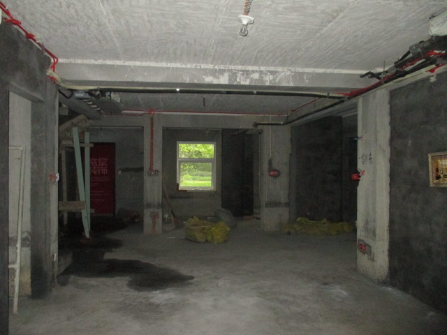 IMG_9411.JPG