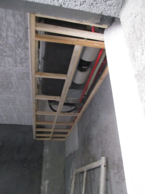 IMG_9849.JPG
