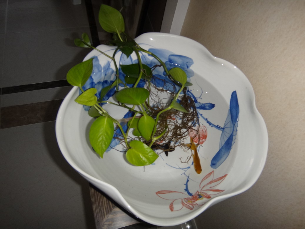DSC03304.JPG