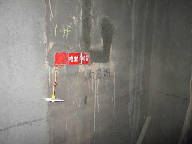 IMG_3273.JPG