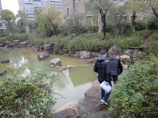 DSC05211.JPG