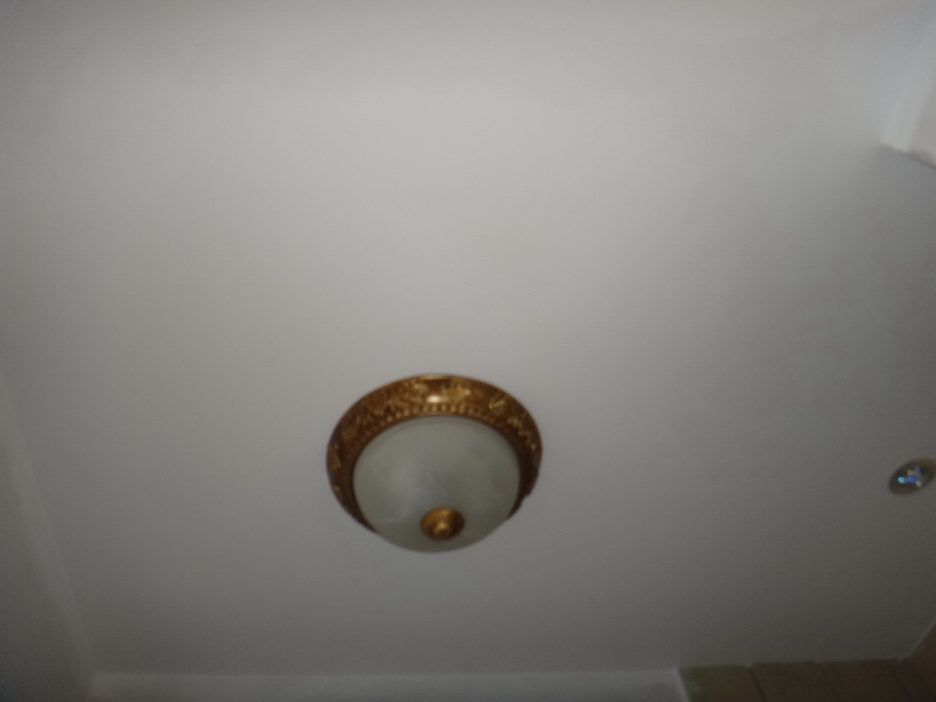DSC00509.JPG