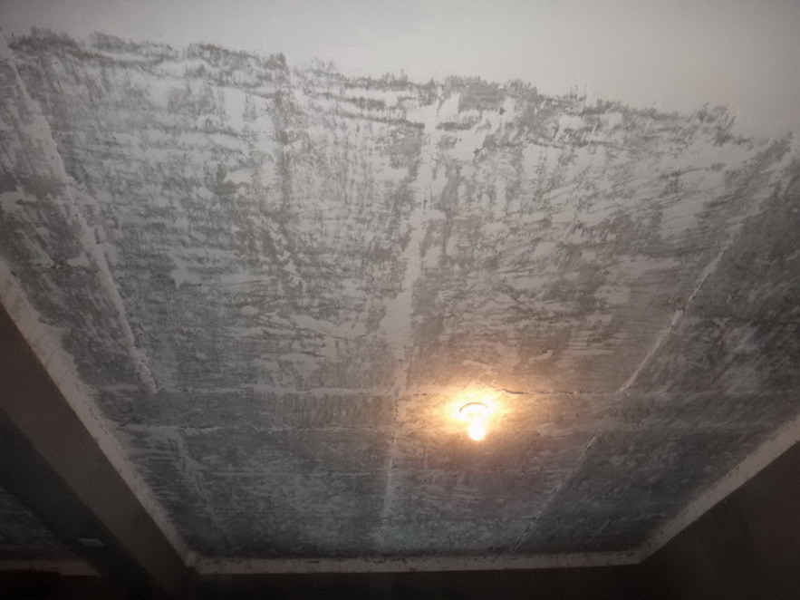 DSC01202.JPG