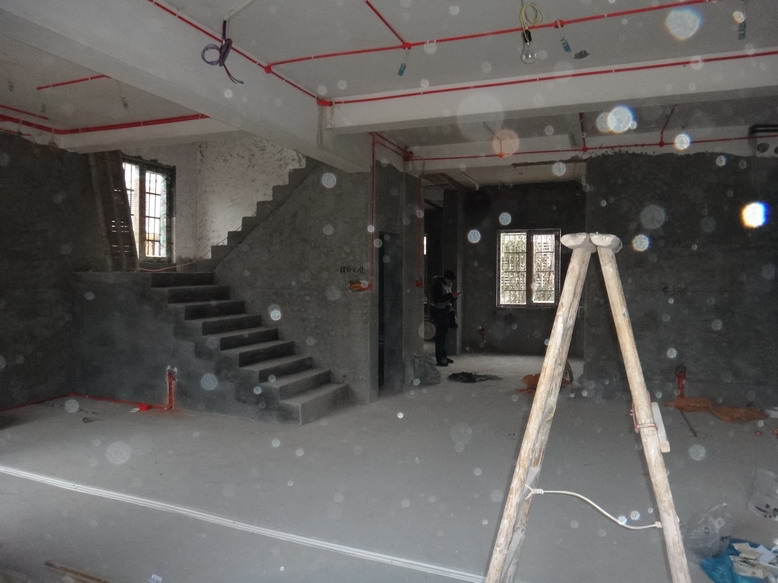 DSC08633.JPG