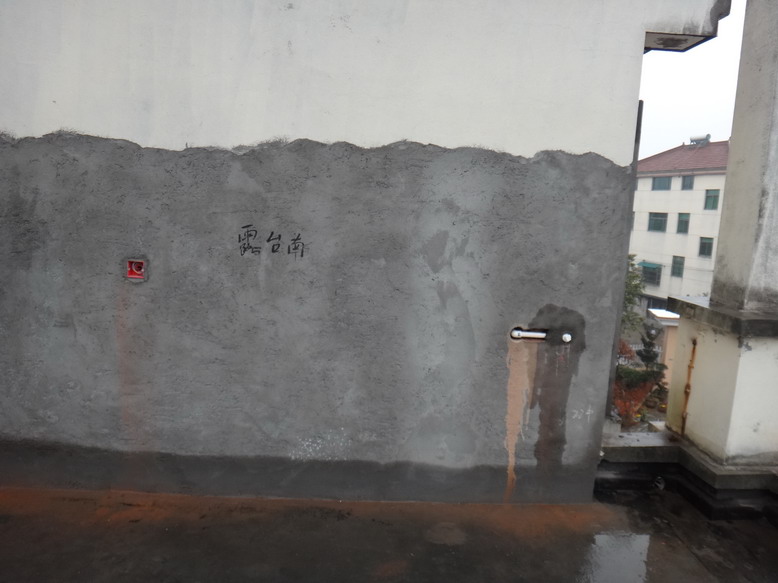 DSC08810.JPG