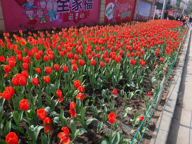 DSC03248.JPG