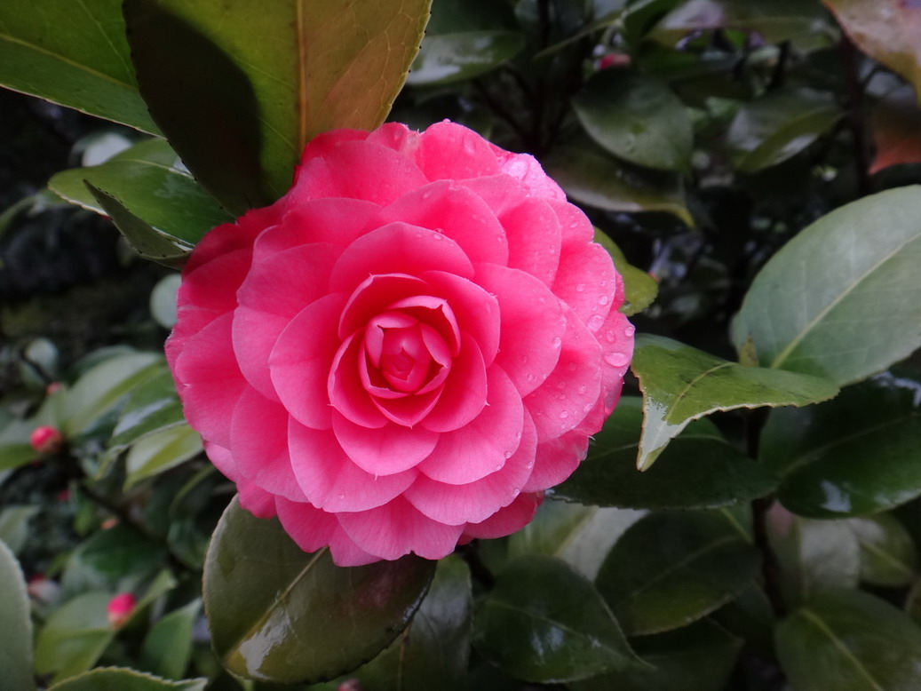 DSC03577.JPG