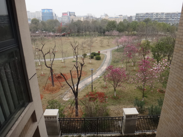 DSC09924.JPG