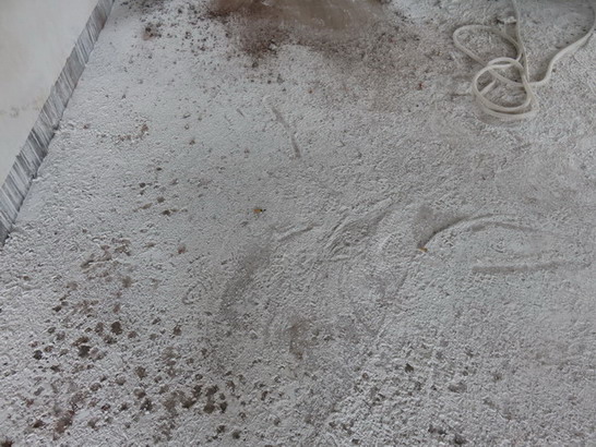 IMG_1889.JPG