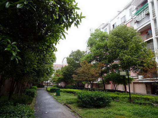 DSC00106.JPG