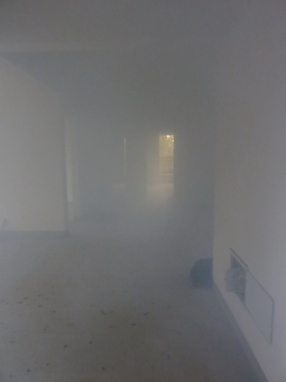 IMG_7561.JPG