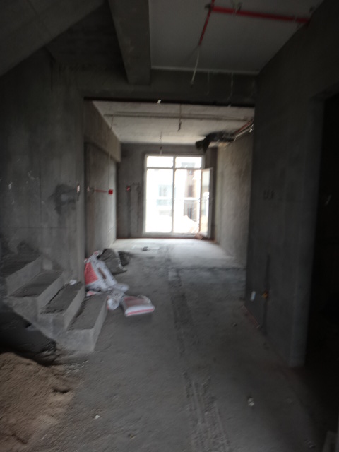 DSC02350.JPG