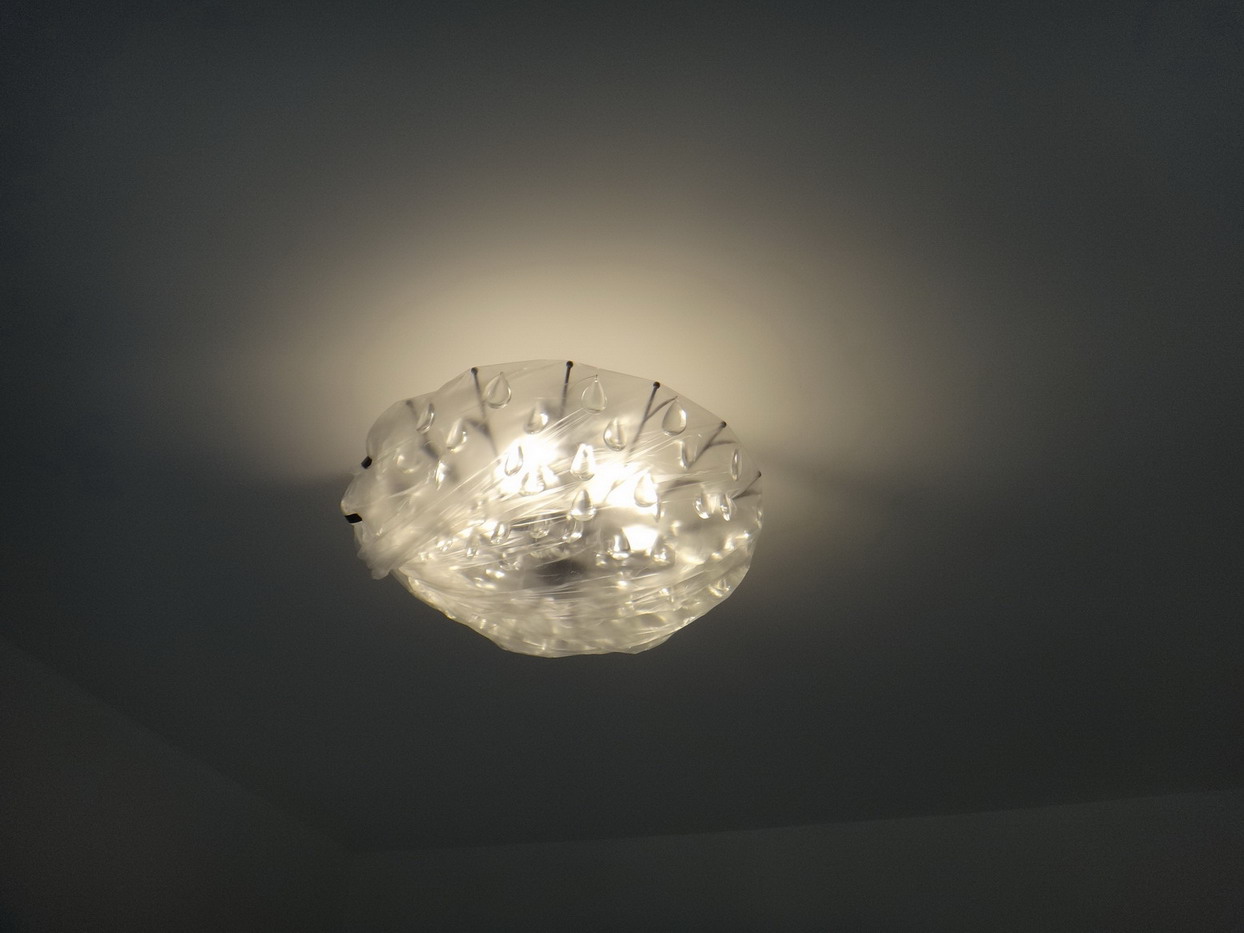 DSC07479.JPG