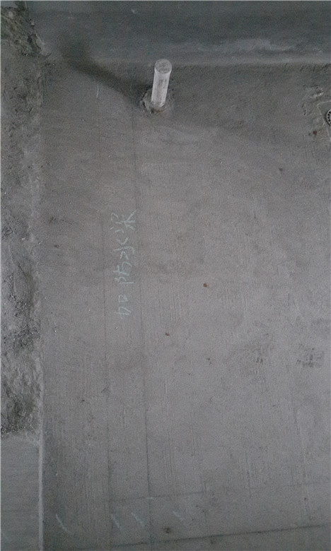 P50514-101941.jpg