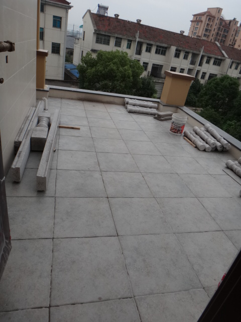 DSC03716.JPG