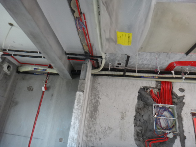 DSC05232.JPG