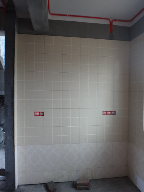 DSC07232.JPG
