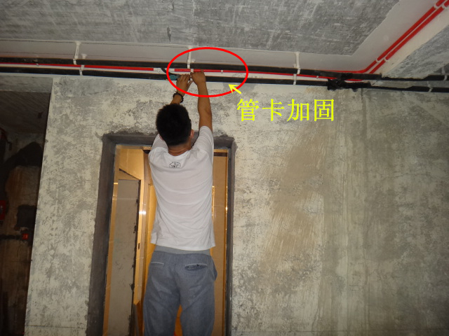 011551wi0z0a2w80gr46w6.jpg