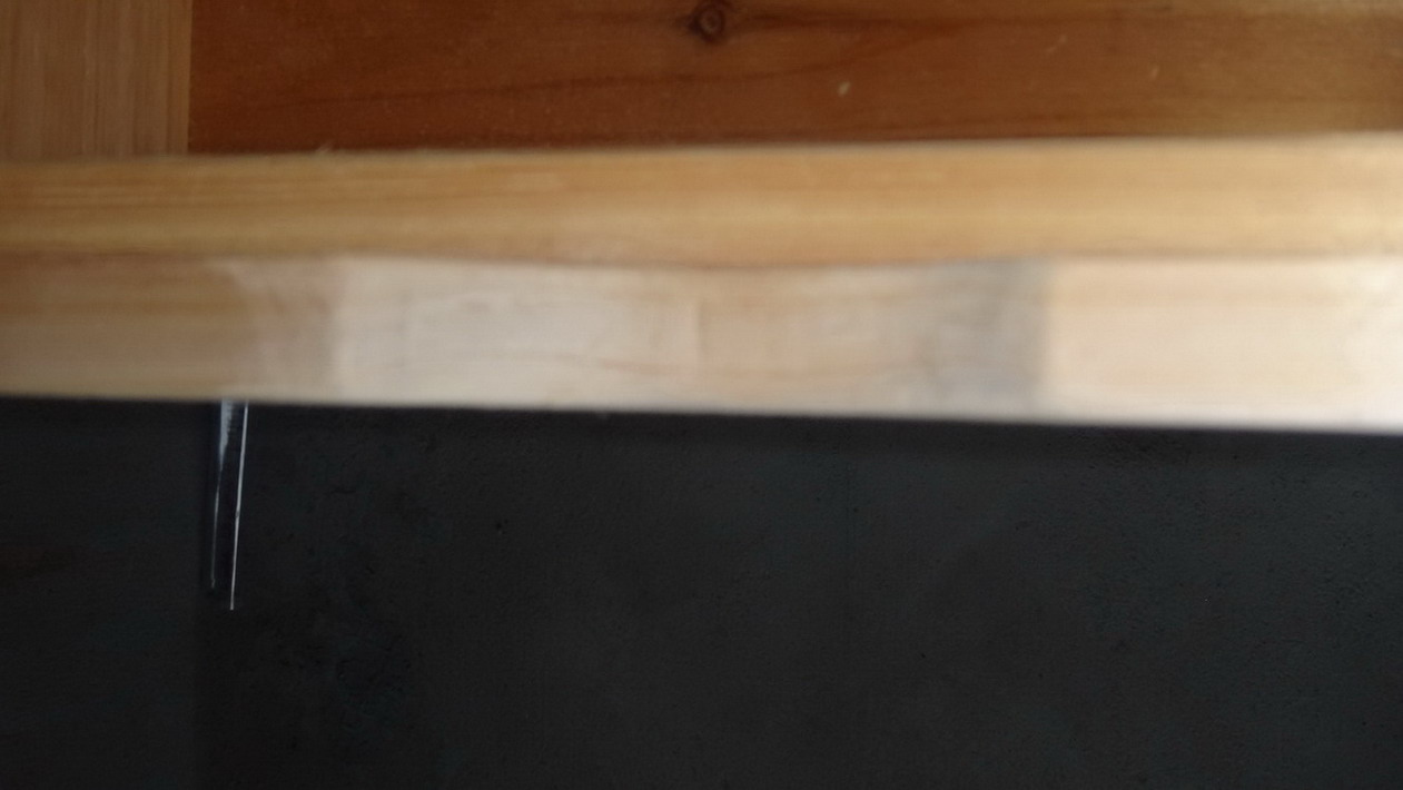 DSC02445.JPG