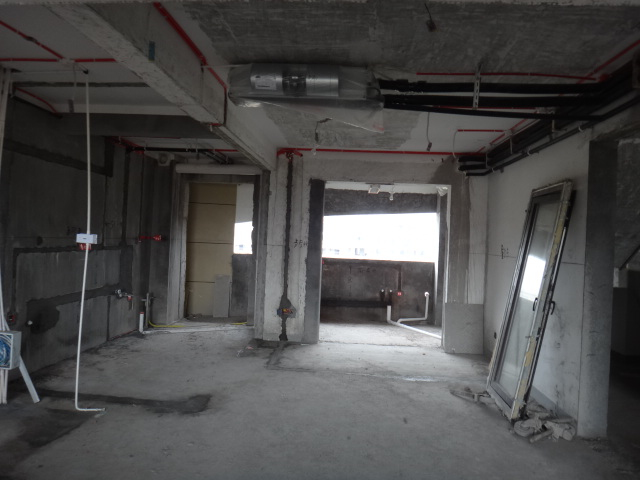 DSC08335.JPG