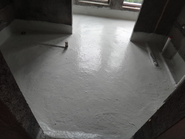 DSC08341.JPG