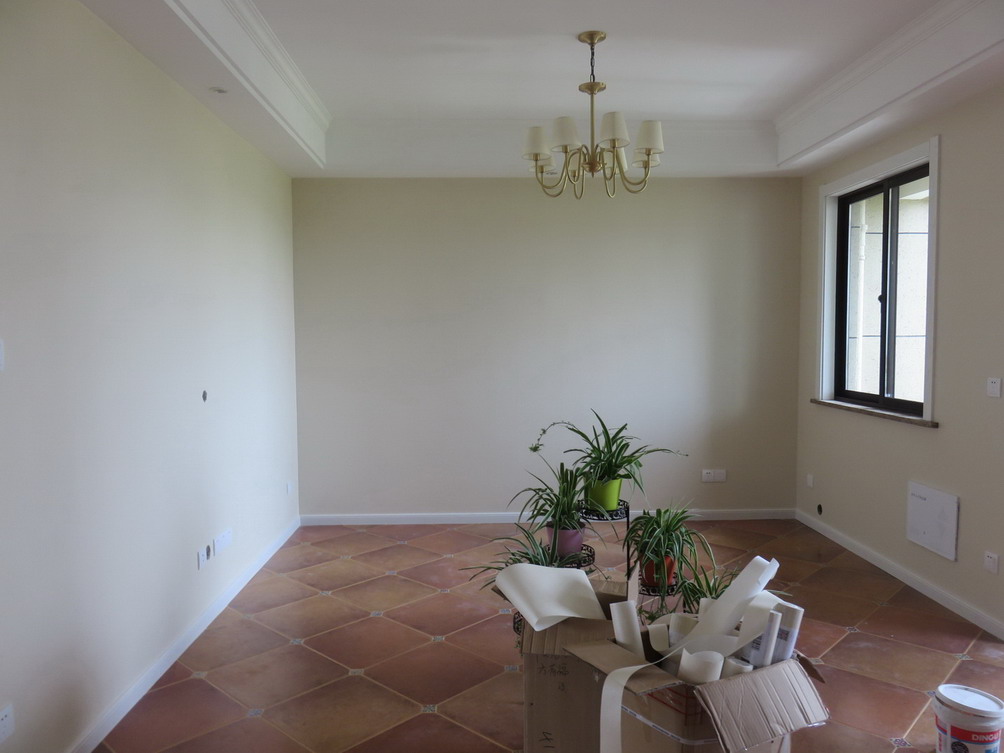 IMG_2428.JPG