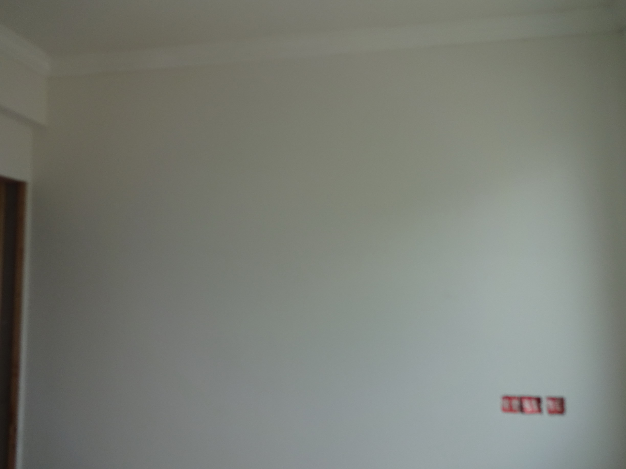 DSC06143.JPG