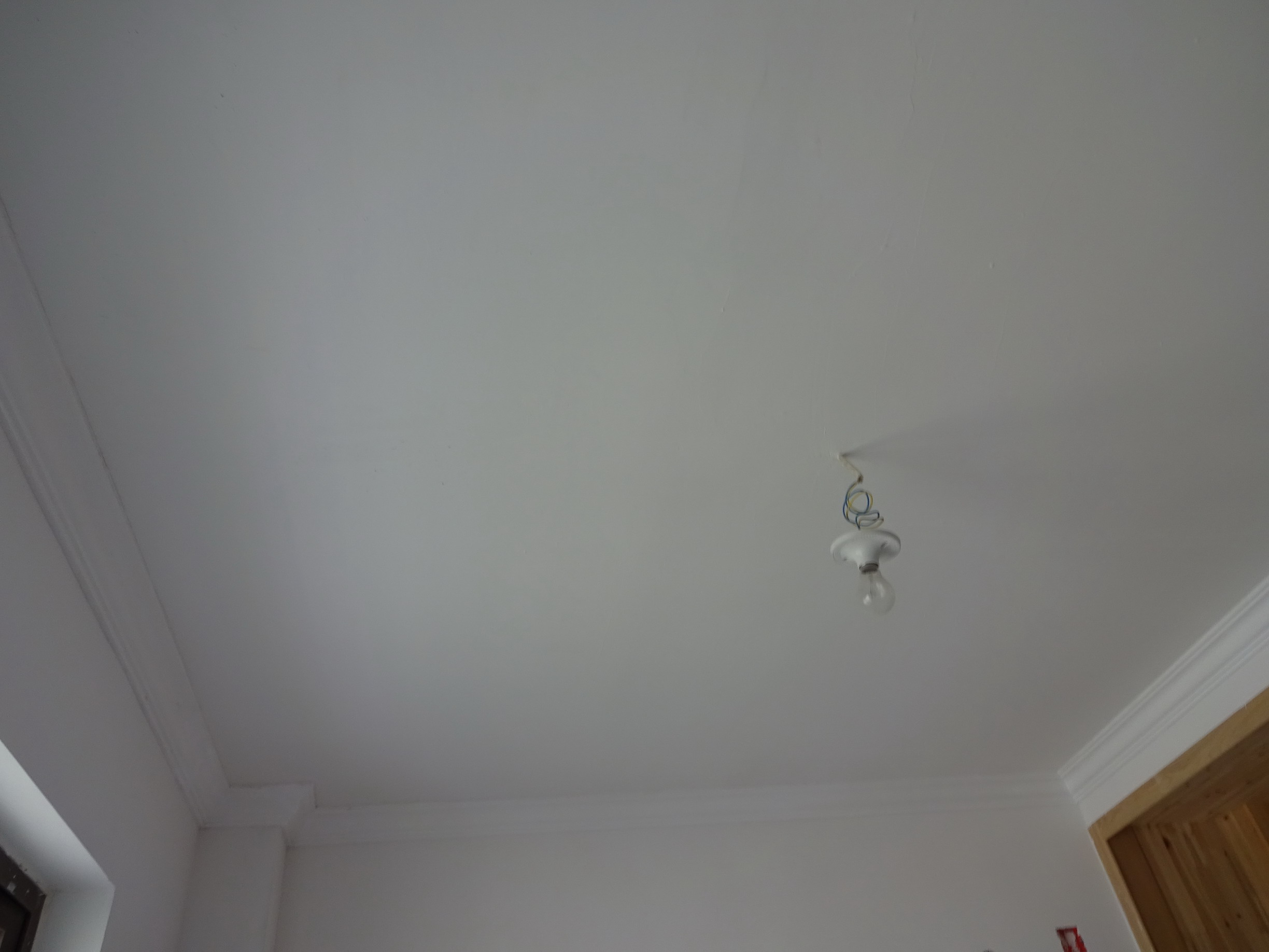 DSC06161.JPG