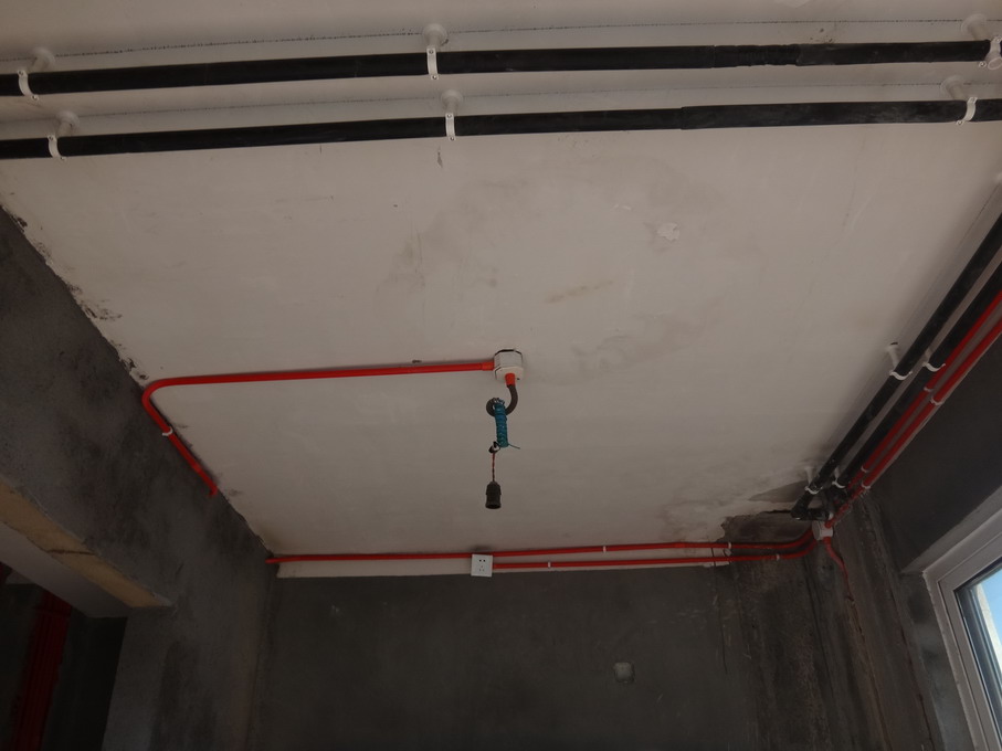 DSC09600.JPG