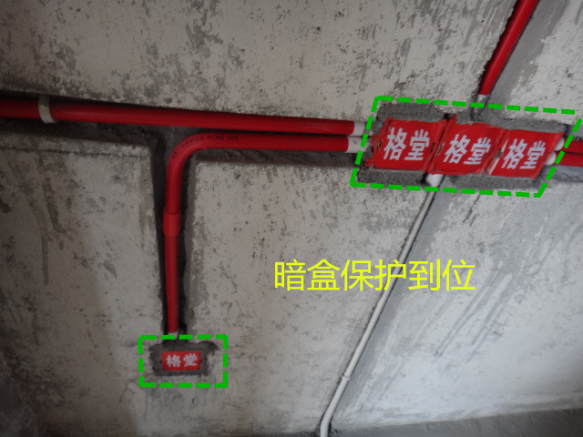 001541lss8ydex1855kktg_����.jpg