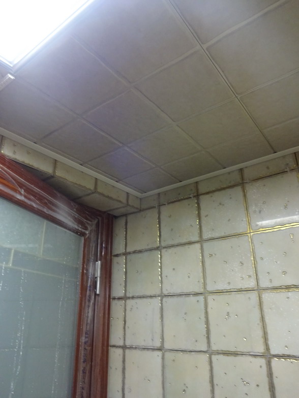 DSC05476.JPG