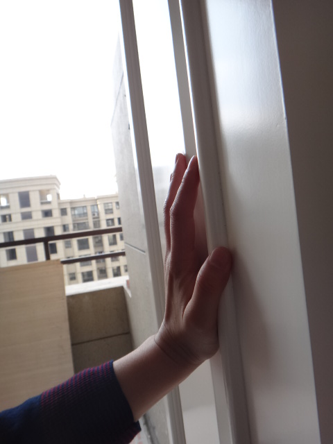 DSC03905.JPG