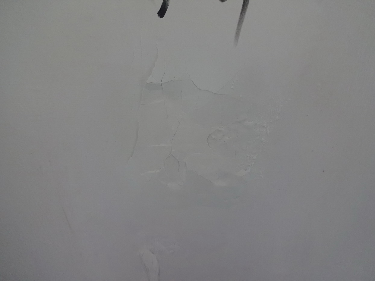 DSC07616.JPG