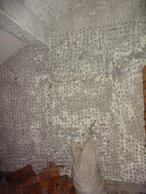 DSC07785.JPG