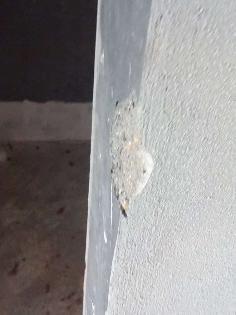 DSC00832.JPG