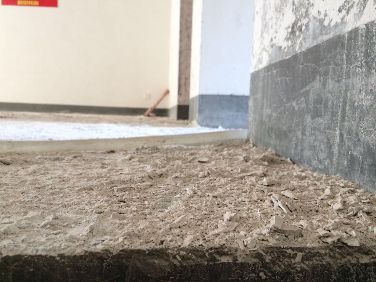 45681419963846502.jpg