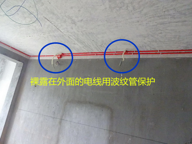 6.1.JPG