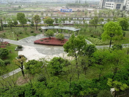 DSC07364.JPG