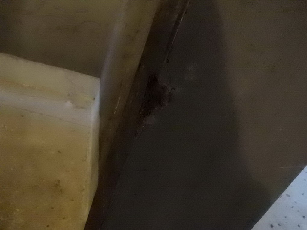 DSC08239_������С_������С.JPG