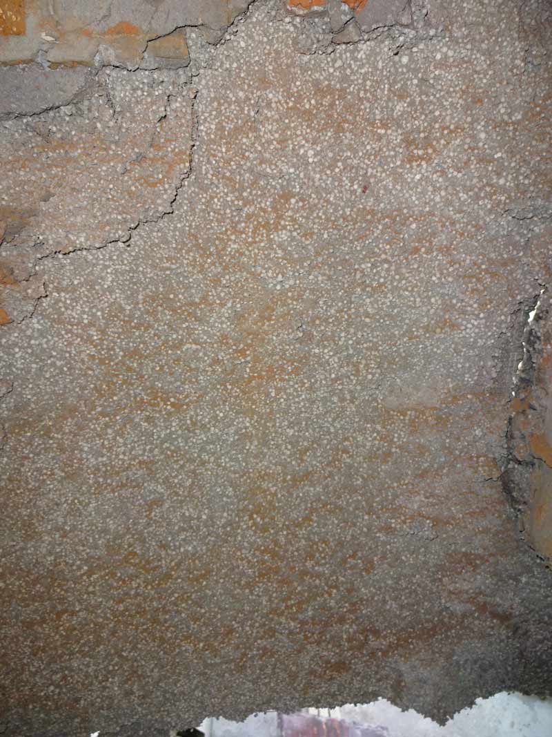 DSC02592.jpg
