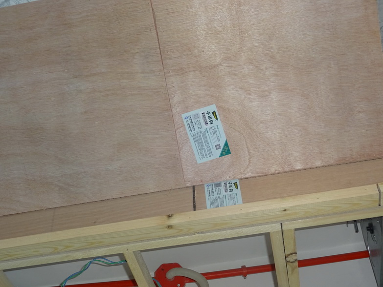 DSC01453.JPG