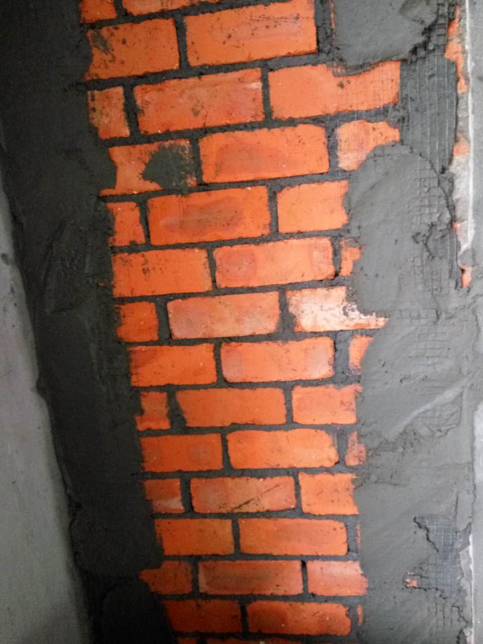 300021050240225388.jpg