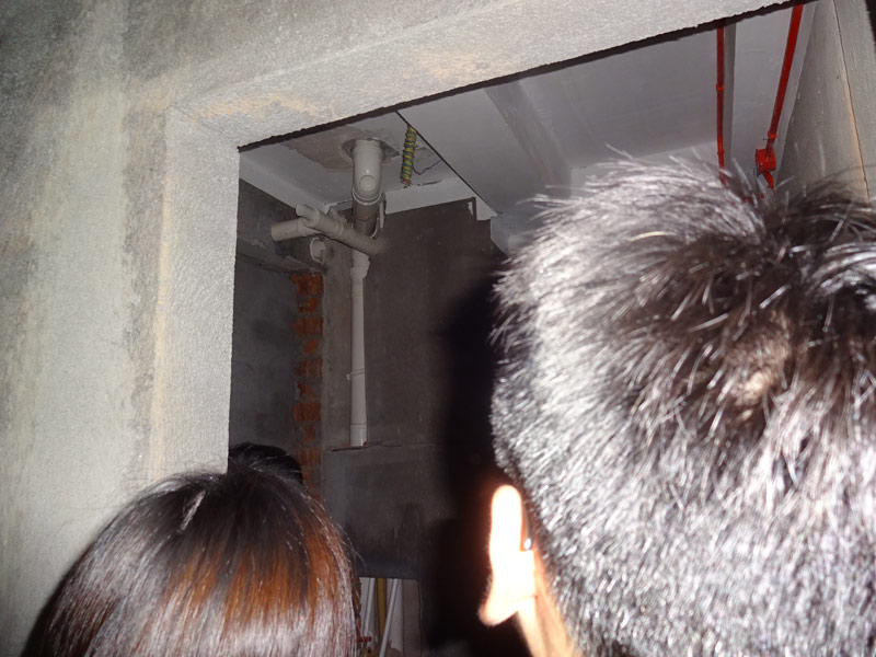 DSC05539.jpg