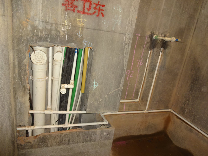 DSC07217.jpg