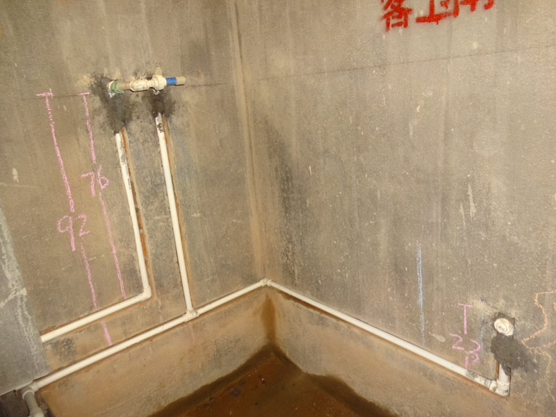DSC07218.jpg