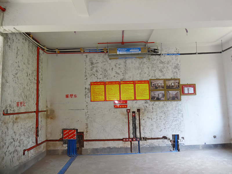 DSC07230.jpg