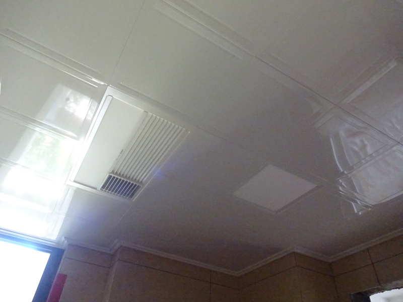 DSC07884.jpg