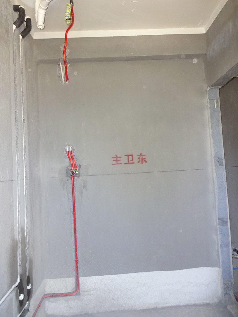 DSC08109.jpg